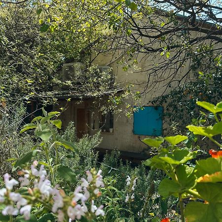 The House In The Oaks הבית באלונים Amirim Exterior photo