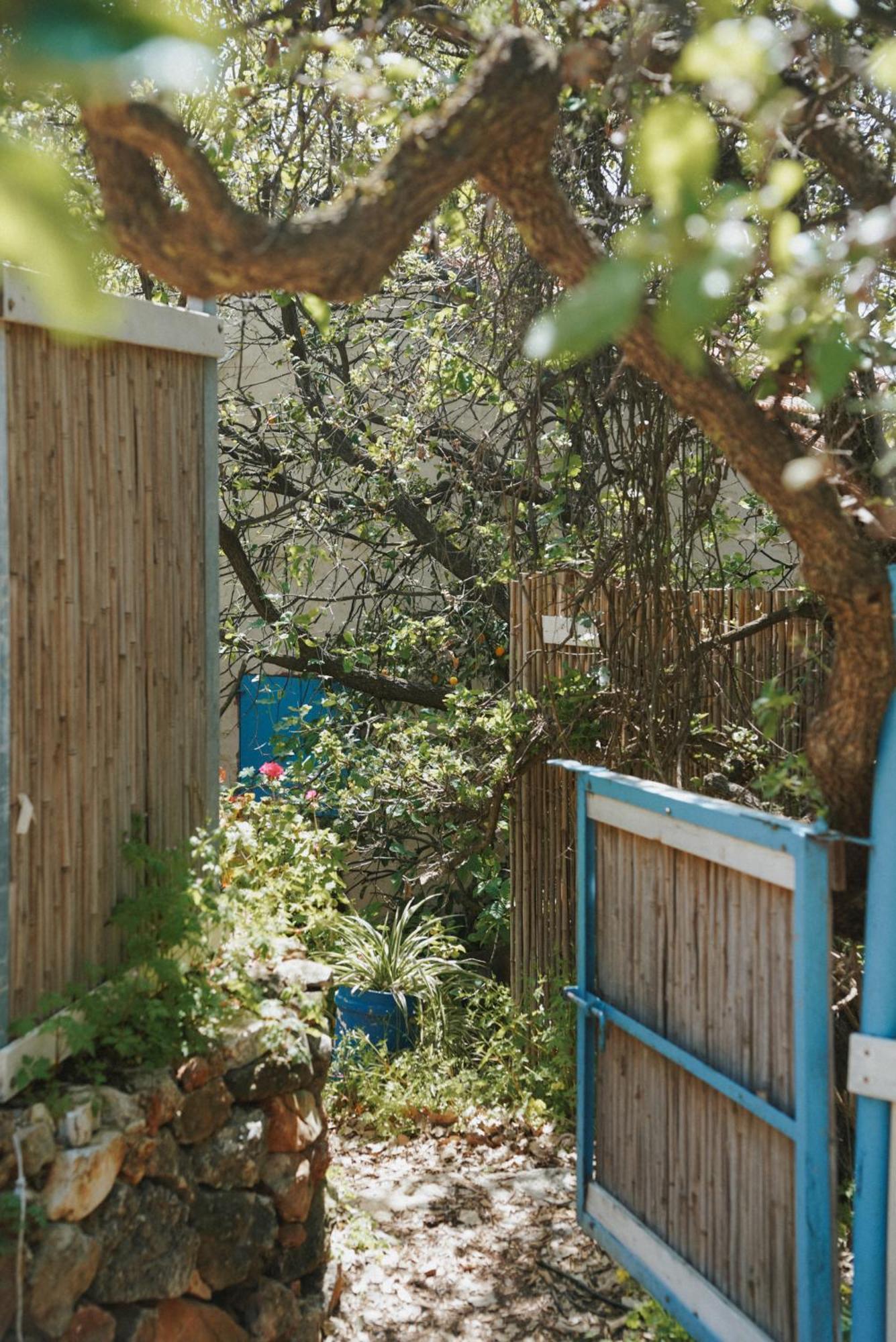 The House In The Oaks הבית באלונים Amirim Exterior photo