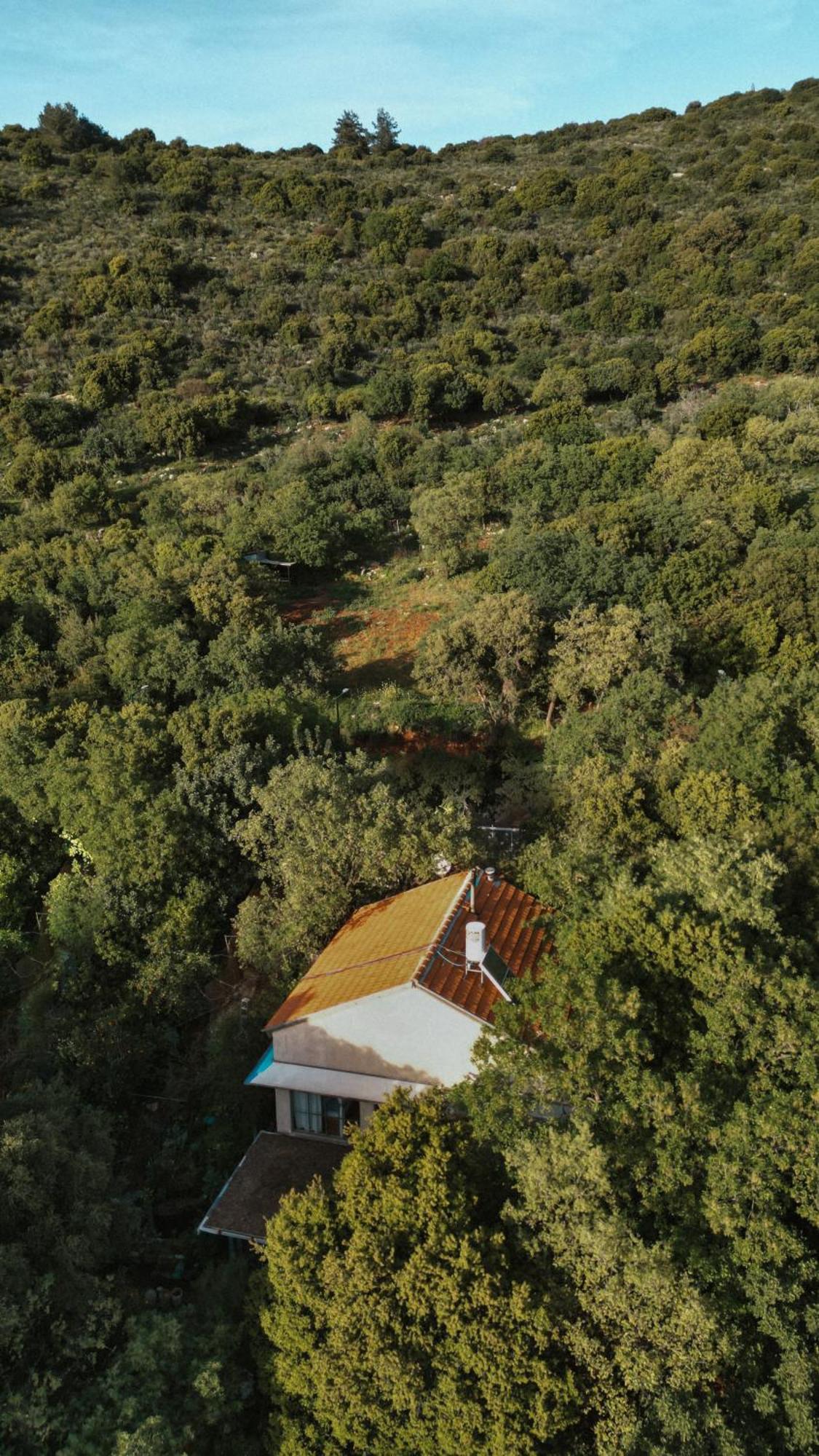 The House In The Oaks הבית באלונים Amirim Exterior photo