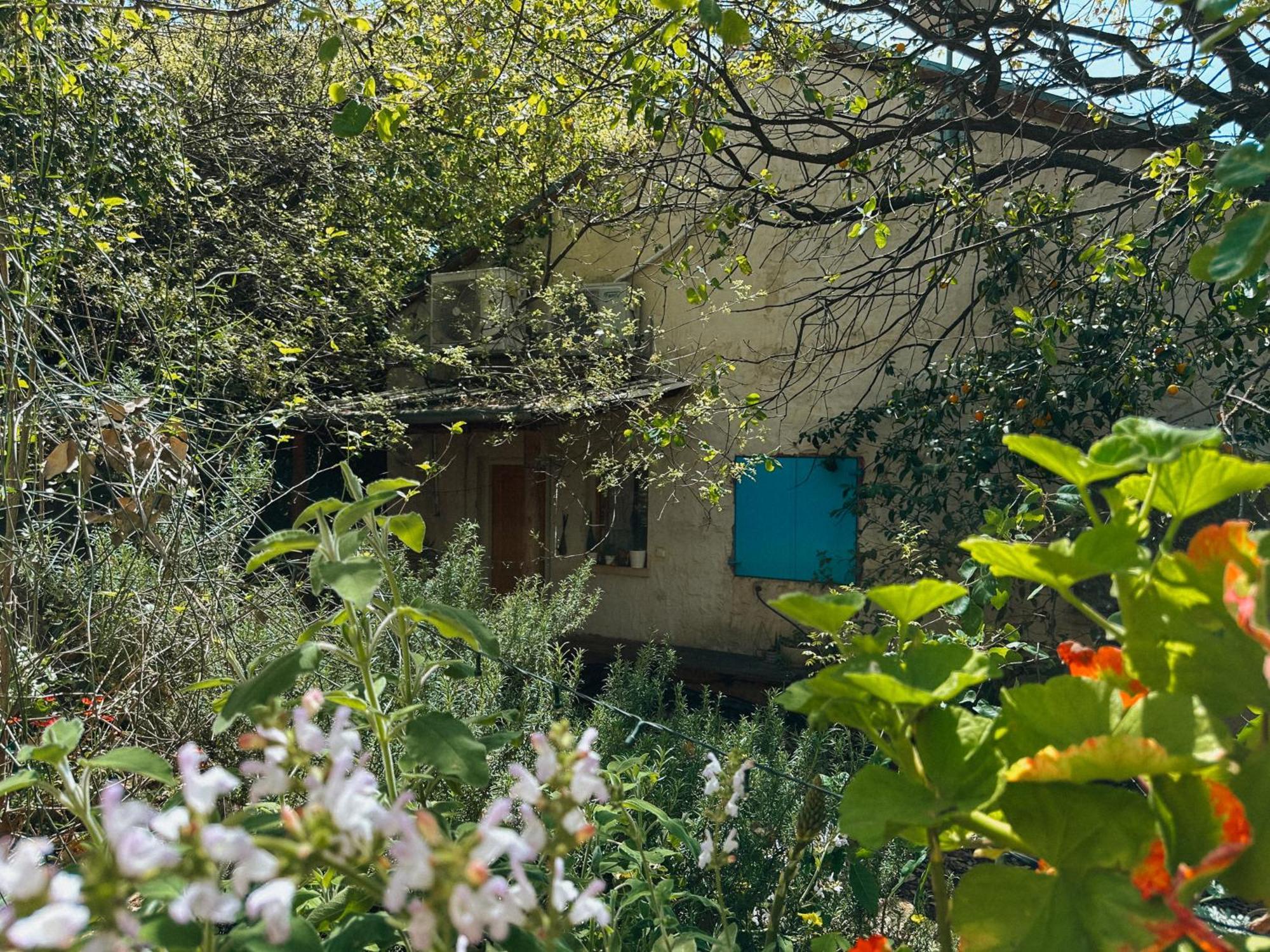 The House In The Oaks הבית באלונים Amirim Exterior photo